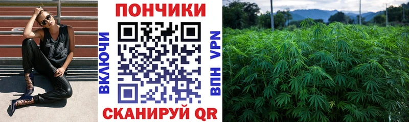 Как найти закладки Лянтор Гашиш  A-PVP  Меф  АМФЕТАМИН  Бошки Шишки 