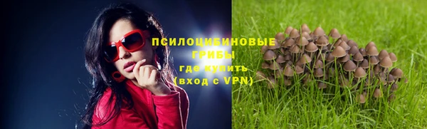 прущие крисы Баксан